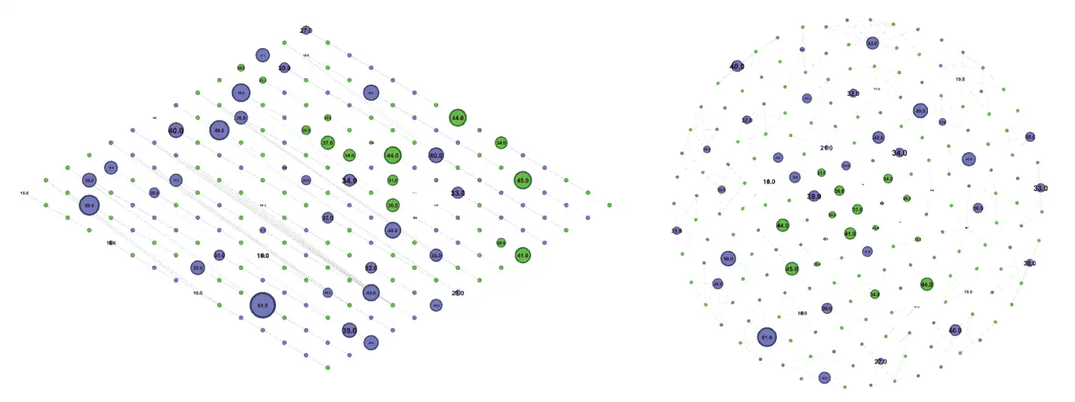 Visualizzazione del valore del limpio: isometrica e Fruchterman-Reingold